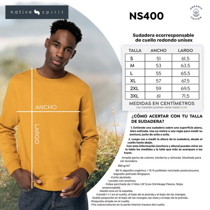 Ficha técnica NS400